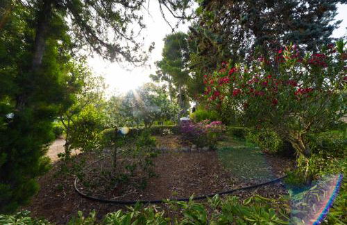 Villa Rosemary - Photo 64