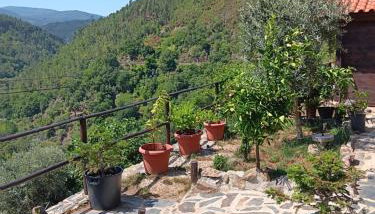 Refúgio com Tanque Privado e Azeite Artesanal - Foto 5, Garden, Garden view