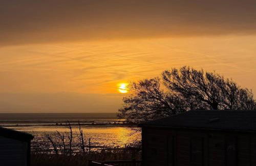 Paws A While - Foto 14