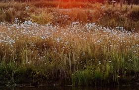 Kraina Poraj - Foto 70