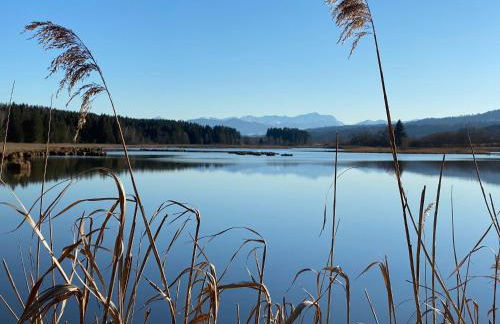 Ferienwohnung Auszeit im Pfaffenwinkel - Wessobrunn - Foto 19
