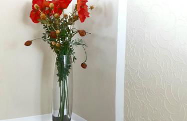 Seesternchen - Foto 9