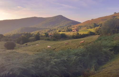 Pedroenea Apartamento Elizondo - Foto 62