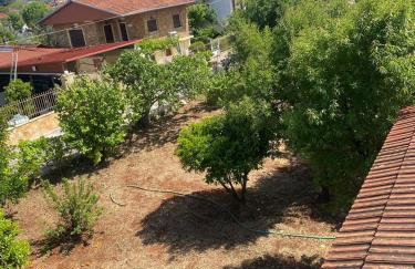 Cosy spot near the beach only 45 min from Athens - Foto 10