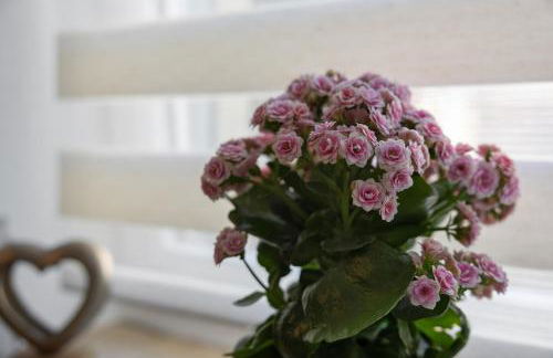 Ferienoase Waldklang - Foto 6