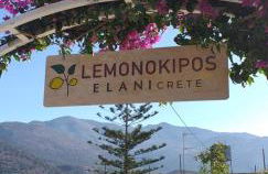 Lemonokipos, holiday house with private pool - Foto 30