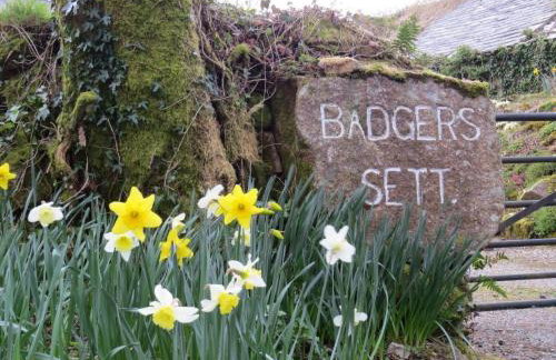 Holiday Home Idyllisches Landhaus mit wunderschönem Garten by Interhome - Photo 28