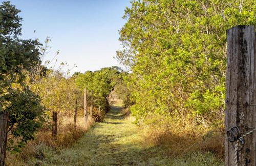 Paseo Del Mar - Foto 7