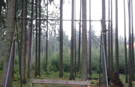 Hundeurlaub im Tiny House im Wald - Foto 72