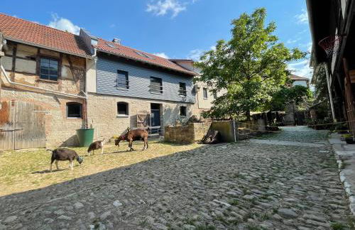 Ferienhof"WaldEsel Rippersroda" - Foto 60