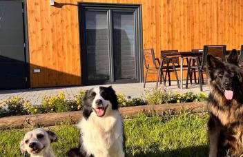 Słoneczny Horyzont - Foto 33