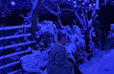 Ogrodowa 4 - Photo 56