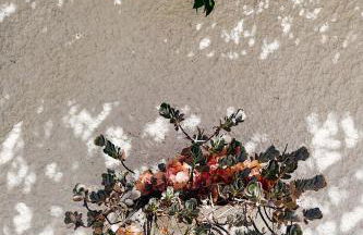 Villa Adara, splendide villa avec piscine et vue mer - Foto 50