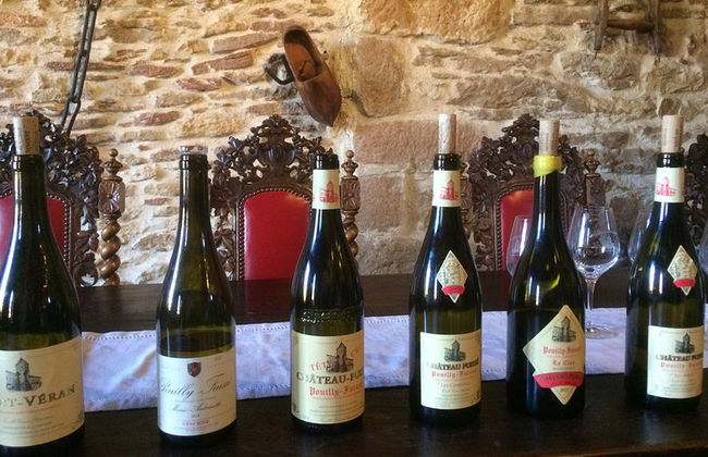 Tour enológico por el sur de Borgoña - Tour compartido de día completo desde Lyon - Foto 6