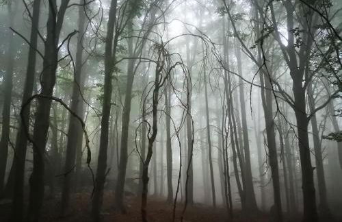 La LLar de la Kim, Bonita casa a 150m del mar y 40km de Barcelona - Foto 57