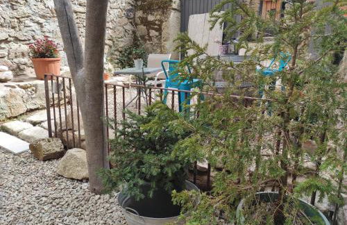 El Naturalista - Los sitios de aravalle - Foto 26