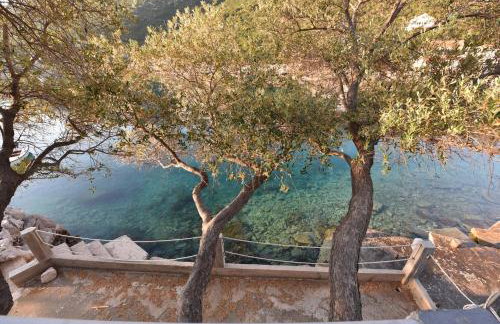 Apartmani Marko - Foto 73