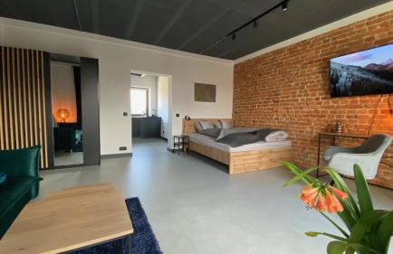 Apartamenty Gliwice Staromiejska 65 - Foto 47