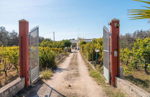Casa Appia Antica - Foto 34