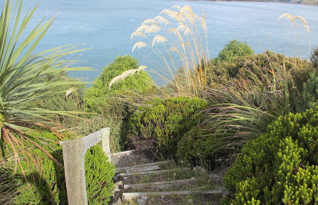 Catlins Lake Sanctuary - Foto 12