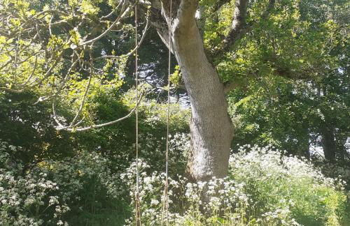 Doughery Den The Dark Hedges Hideaway - Foto 45