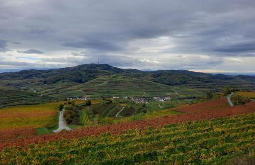 im Baumgarten Comfortable holiday residence - Foto 12