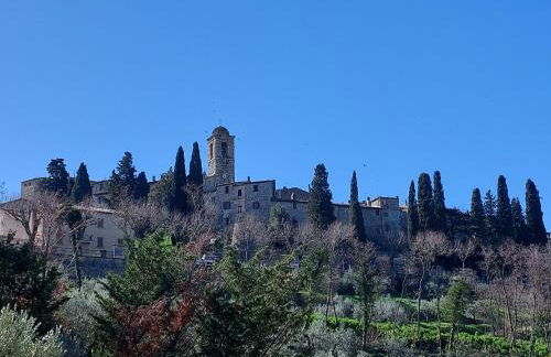 La Selvarella - Foto 20