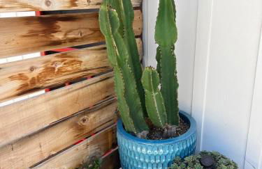 Urban Luxe Retreat l King Bed l Kitchenette - Photo 11