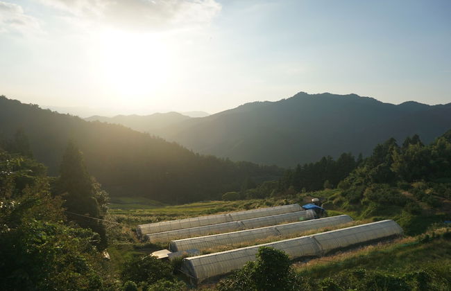 YUSUKAWA GUESTHOUSE COCCORON - Foto 22