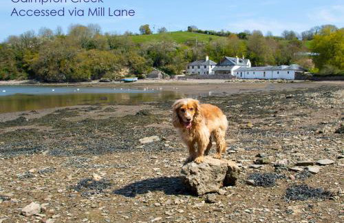 Dart Haven - cheerful holiday bungalow in Galmpton - Photo 34