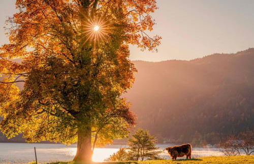 Relax Appartment Walchensee - Foto 20