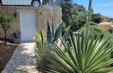 Villa Olivia - Photo 64