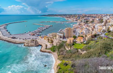 Perla del Centro - Photo 41