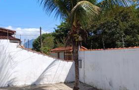 Oásis Flórida - Photo 15