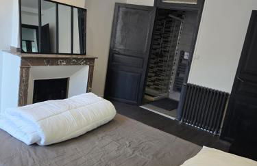 Appartement XXL 120m2 - 10 couchages - 3ch - centre Foix - 2 sdb-2 wc - Parking gratuit à 1 Minute - Foto 43