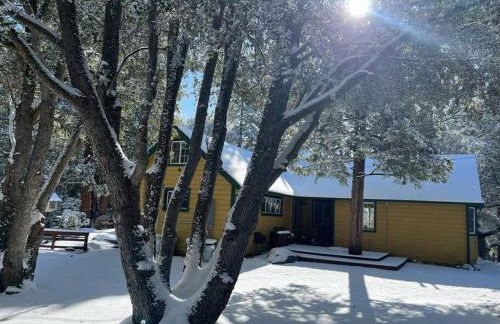 Serene and Magical Cabin w/Barrel Sauna and Fireplace - Foto 32