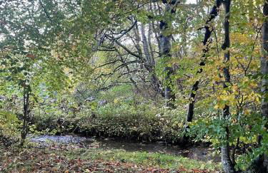 Stewards Granary - Foto 78