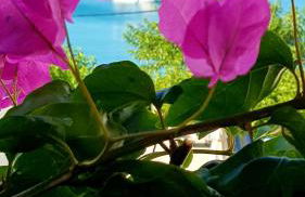 Haraki Mare Studios beach front - Foto 49