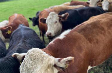 Domek nad Wkrą - Foto 44