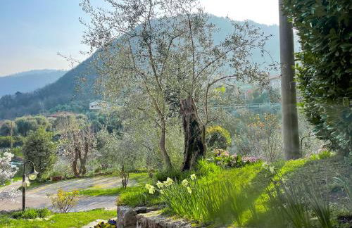 Breva, Loft tra gli ulivi ed il lago - Foto 25