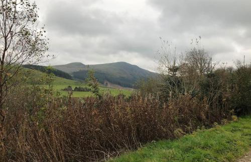 Lakeland Retreat - Foto 20