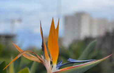 Traveler's Beach Apartment with sea view, free coffee & parking - Photo 44