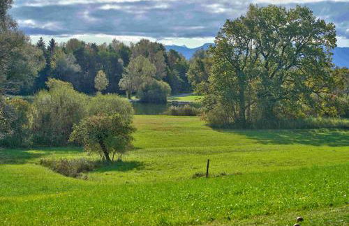 Brausamhof - Photo 11