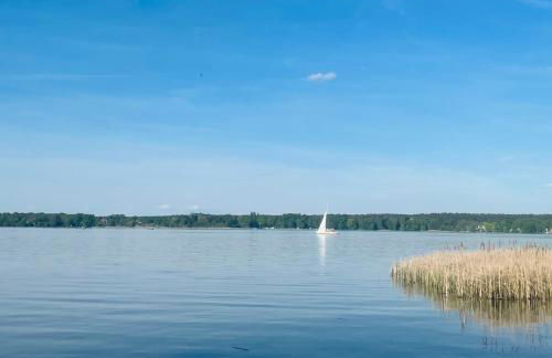 Ferienhaus Am Silberberg, Bad Saarow - Foto 26