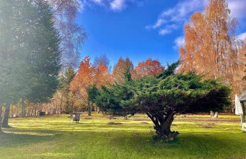Maison normande sur parc arboré ambiance bucolique - Foto 6