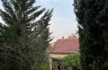 Le Mas d'Angèle - Foto 4