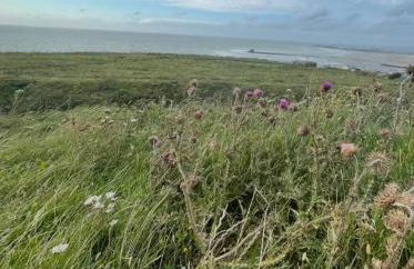 En bord de mer - Foto 13