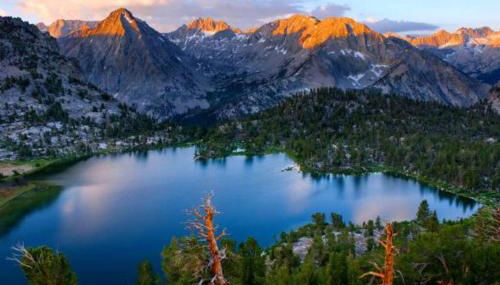 Sequoia Splendor, inside Kings Canyon NP by Visitors Center - Foto 4