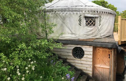 Hapus Yurt - Two Beautiful Yurts and Barn Cottage - Foto 37
