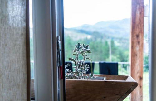 San Bartolome Etxea - Foto 21